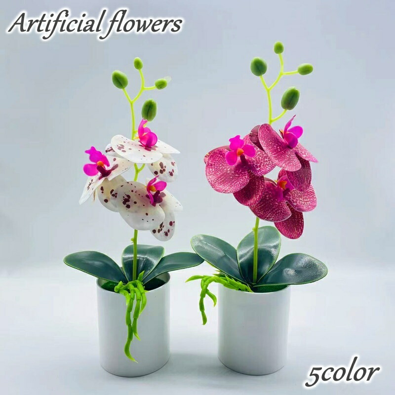 造花(アーティフィシャルフラワー)12立て胡蝶蘭寄せ植え鉢入り 楽天市場】送料無料 造花 フェイクフラワー 鉢植え付き 花