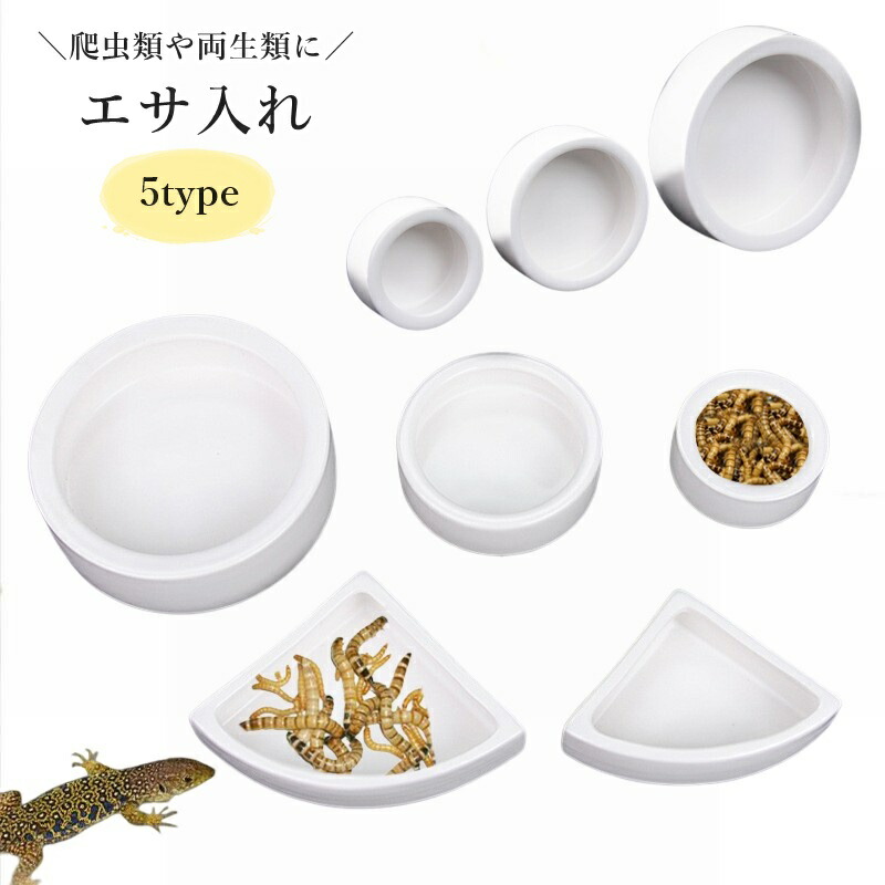 楽天市場】爬虫類 水入れ 餌入れ エサ皿 水飲み皿 自然の岩イメージ