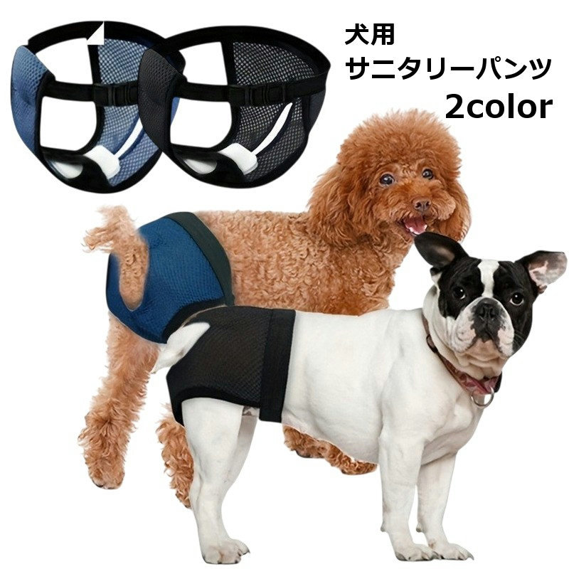 楽天市場】送料無料 生理パンツ マナーパンツ サニタリーパンツ パンツ