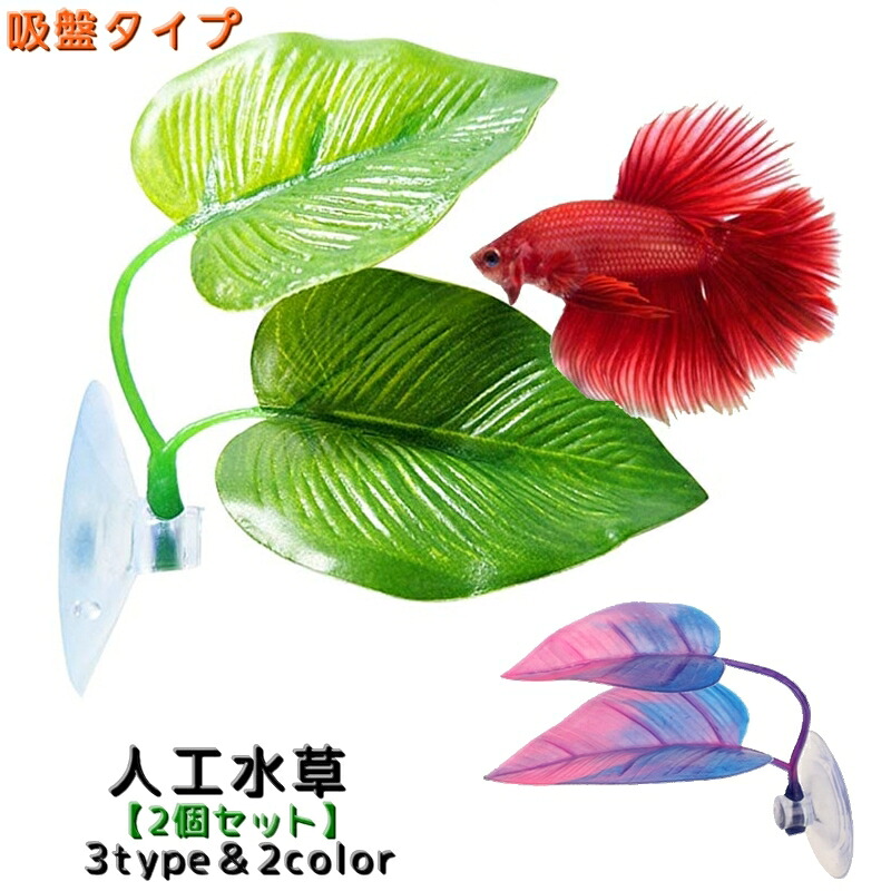楽天市場】送料無料 熱帯魚用 人工水草 2個セット 水中植物 吸盤タイプ