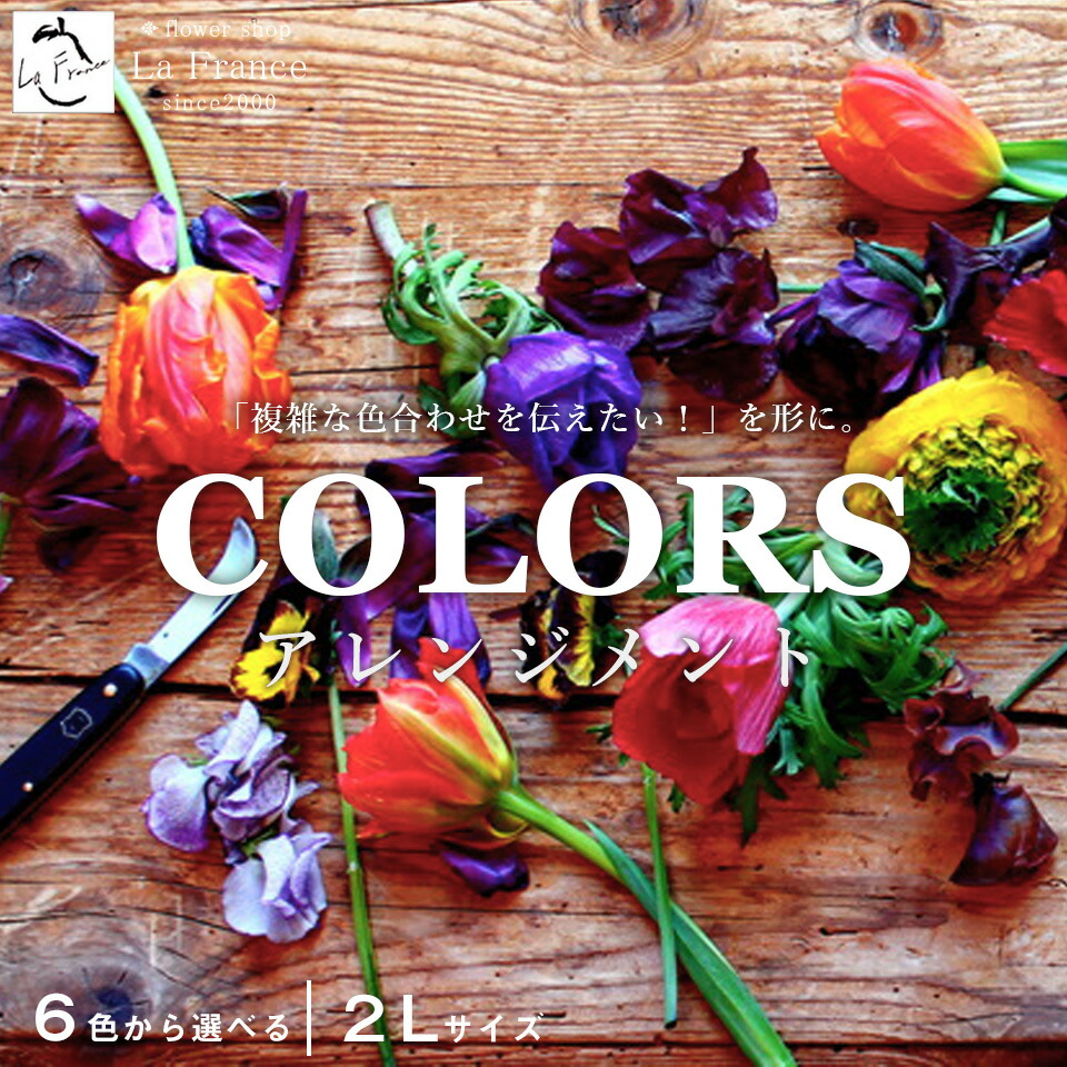 楽天市場 フラワーアレンジメント 結婚記念日 あす楽 花 誕生日 フラワーギフト 父の日 ギフト おしゃれ センス 花 選べる 開店祝い 記念日 季節感 個性的 華やか ゴージャス お祝い 即日発送 プレゼント 出産祝い ピンク 赤 黄色 緑 紫 フラワーショップラ フランス