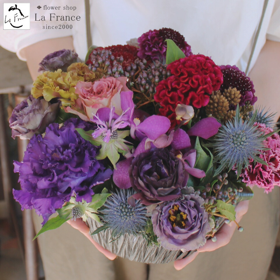 楽天市場 フラワーアレンジメント おしゃれ ハロウィン 誕生日 プレゼント フラワーギフト 花 開店祝い 開業祝い お中元 記念日 お祝い 秋 お洒落 オシャレ かわいい かっこいい 赤 紫 レッド パープル モダン シック 華やか エゴイストm フラワーギフト専門店ラ 楽天市場 フラワーアレンジメント おしゃれ ハロウィン 誕生日 プレゼント フラワーギフト 花 開店祝い 開業祝い お中元 記念日 お祝い 秋 お洒落 オシャレ かわいい かっこいい 赤 紫 レッド パープル モダン シック 華やか エゴイストm フラワーギフト専門店ラ