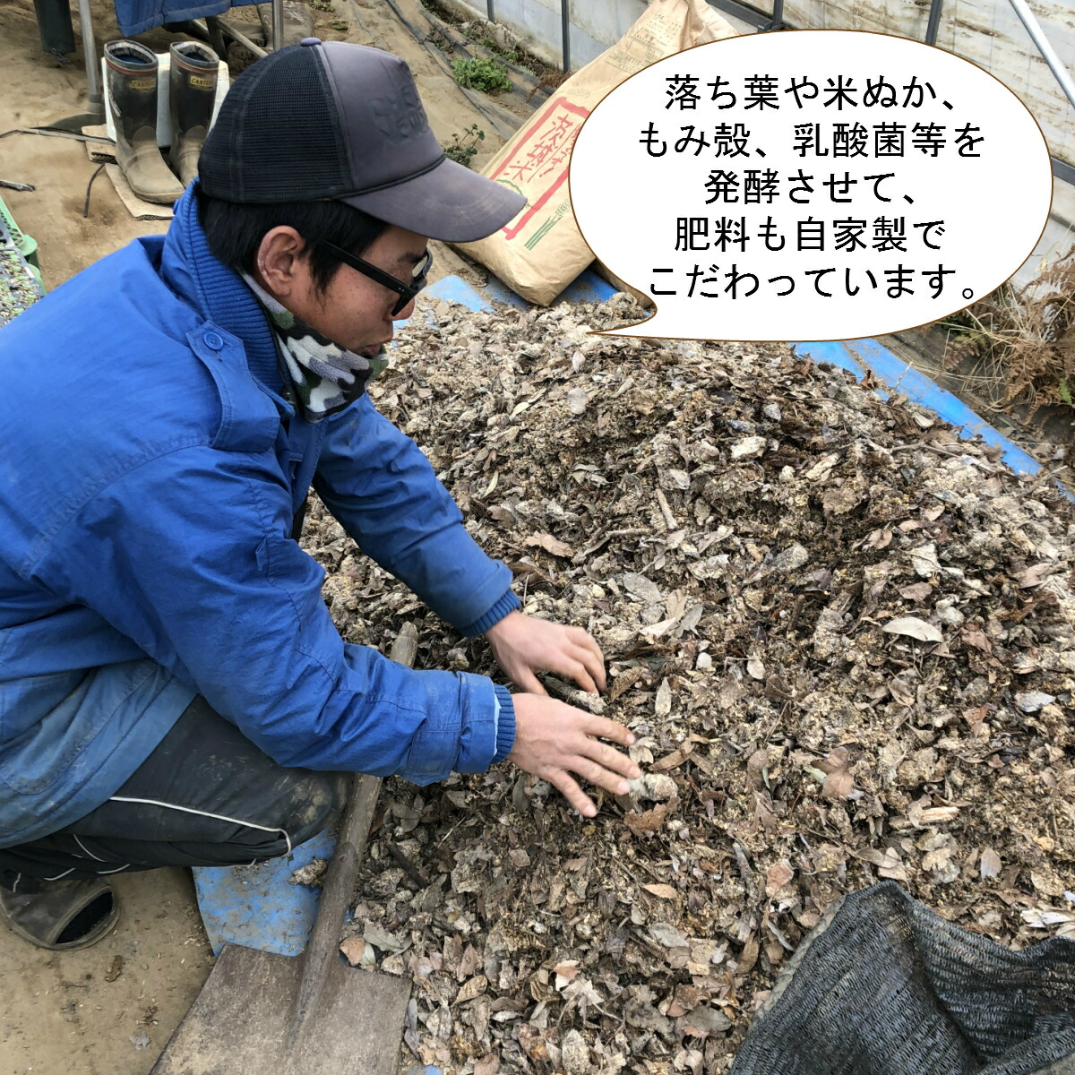 楽天市場 朝採れ新鮮 ケール花芽0g 無科学肥料 化学合成農薬不使用 国産 茨城県産 産地直送 農家直送 朝採り 野菜 少量 0g ケール 花 芽 珍しい 希少 新鮮 期間限定 Lafrutta