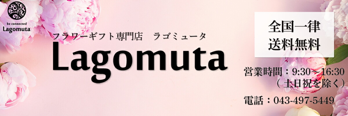 ��ŷ�Ծ� | Lagomu����ŷ�Ծ�Ź