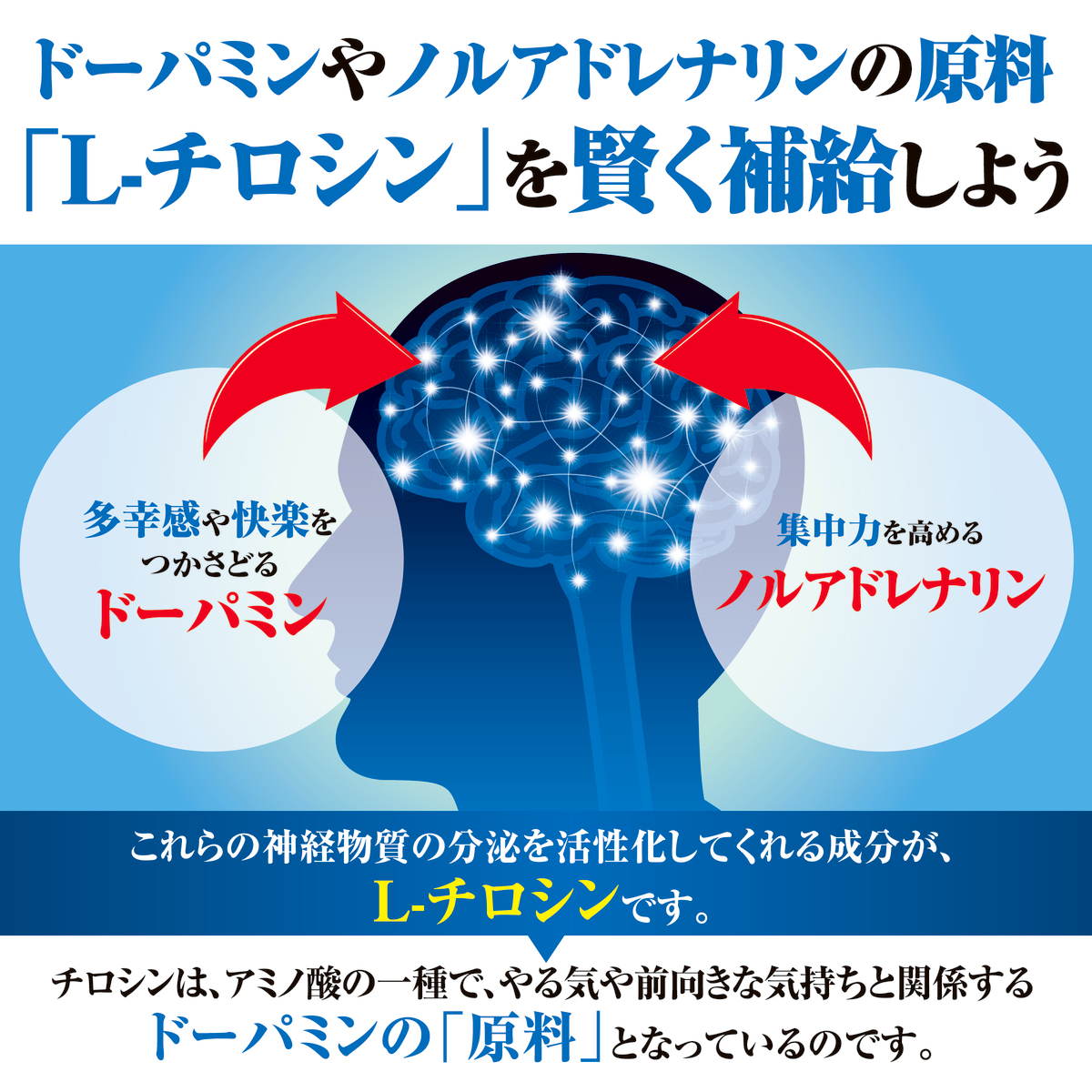 最低価格の チロシン サプリ 国産 大配合量 1日750mg 覚醒の力 L-チロシン ビタミンB6 ビタミンB9 葉酸 配合 セントジョーンズワート  トリプトファン イチョウ葉 アミノ酸 サプリメント メンタルヘルス 日本製 90粒 fucoa.cl