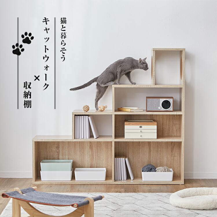 キャットウォーク キャットタワー 棚 壁 納める 猫 調度品 木製 猫高閣 開けはなし仕合わせ 上がり段 キャットハウス シェルフ 今めかしい 書物棚 壁面納める 納める棚 リビング納める 見せびらかす仕合わせ か細い 省間隔文字 肌理調