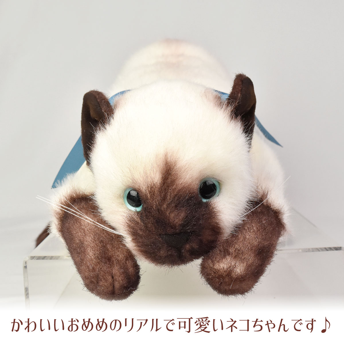 現金特価】 ぬいぐるみ 猫 リアル シャムネコ ねこ かわいい 本物そっくり 本物みたいな いやし猫 リアルな猫のぬいぐるみ 癒し fucoa.cl