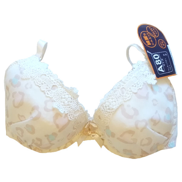 ブラジャー 福袋 レディース レース 刺繍 メール便 送料無料 ランキング ブラ 単品 シフォン 下着 シンプル セールサイズa80 Finy アイボリー カモフラ お試し ワイヤー入り おまかせ ポイント消化 F9a80 21年激安