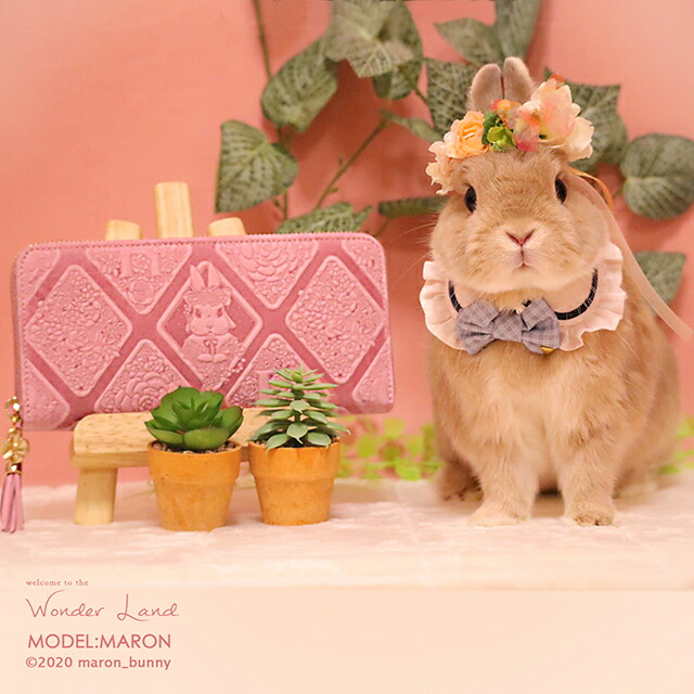 楽天市場 うさぎの植物屋さん 長財布 レディース うさぎ ファスナー長財布 Rファスナー イタリアンレザー ウサギ うさぎ柄 雑貨 財布 うさぎ財布 プレゼント かわいい グッズ ブランド 大人可愛い ラ マーレ