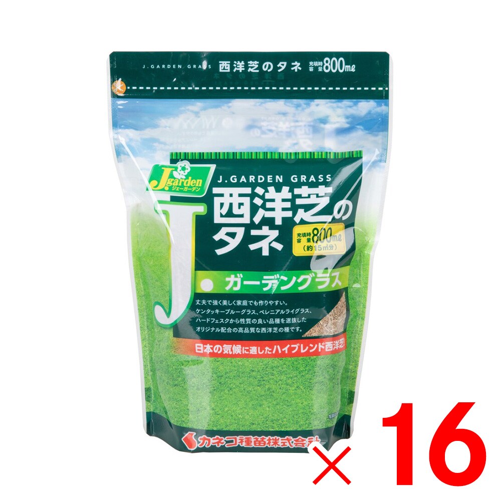 カネコ種苗 西洋芝のタネ Ｊ庭園水のみ 800ml ×16個 容れもの売りわたす