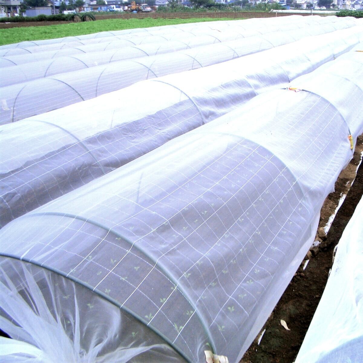 日本ワイドクロス 防虫ネット サンサンネット 1mm目合 1.35m×34m EX2000 【メーカー直送・代引不可・置配不可】