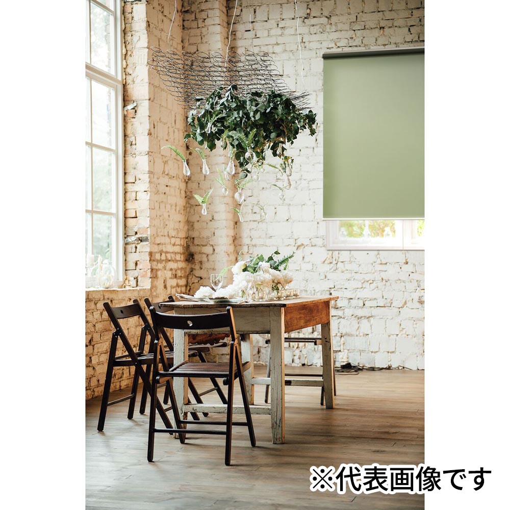 フルネス スリムロールスクリーン 木ねじ ダンディーグリーン 120×180cm L3345 【メーカー直送・代引不可・置配不可・配送地域限定】|Arclands Online 支店
