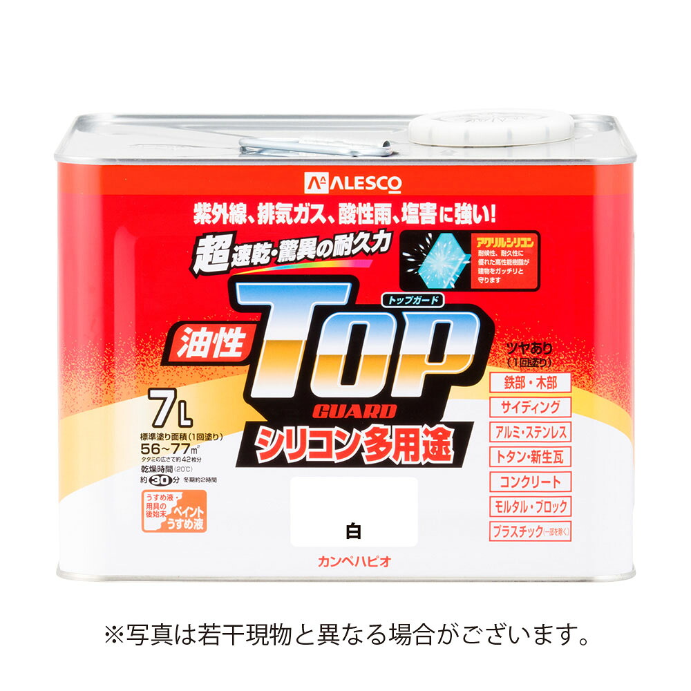 カンペハピオ 油性トップガード 7L 白