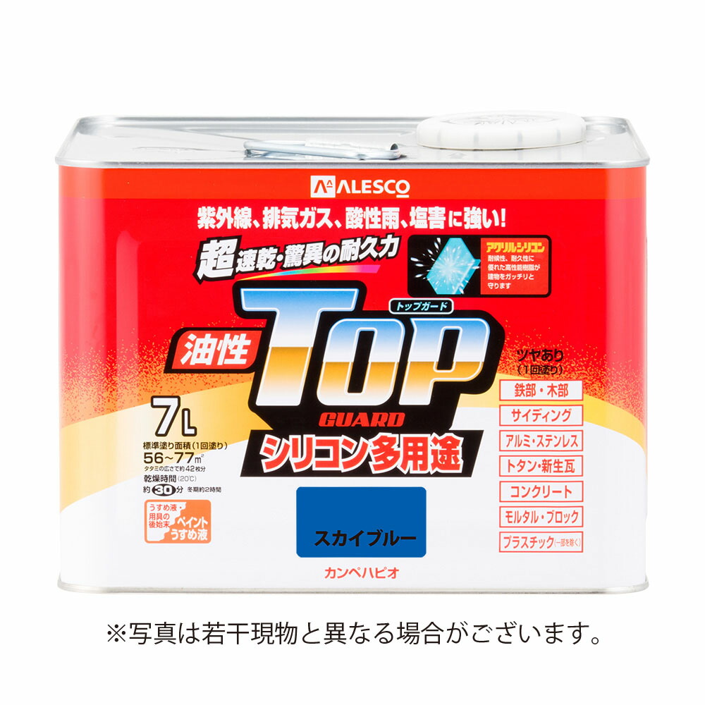 カンペハピオ 油性とっ始めかばい立て 7L 天の原青碧