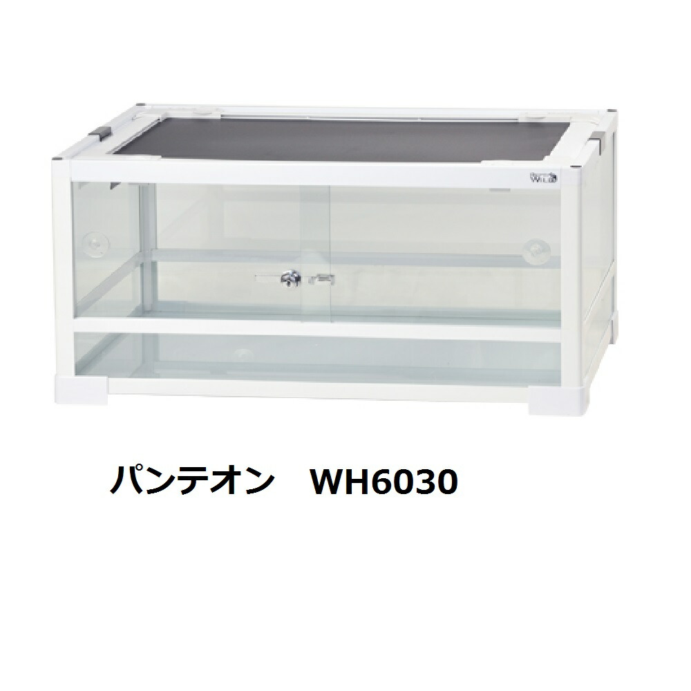 楽天市場 三晃商会 パンテオン ホワイト Wh 9045 E05 アクアアベニュー