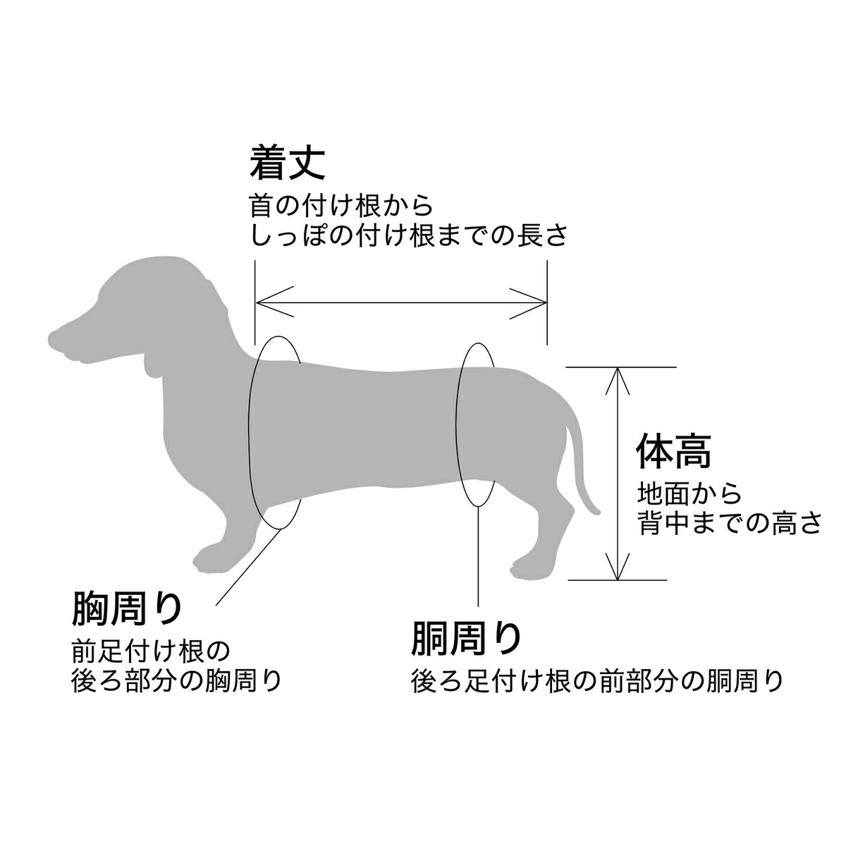 ペットアドバンス 犬用補助車ドギーサポーターセット 本体Mサイズ＋