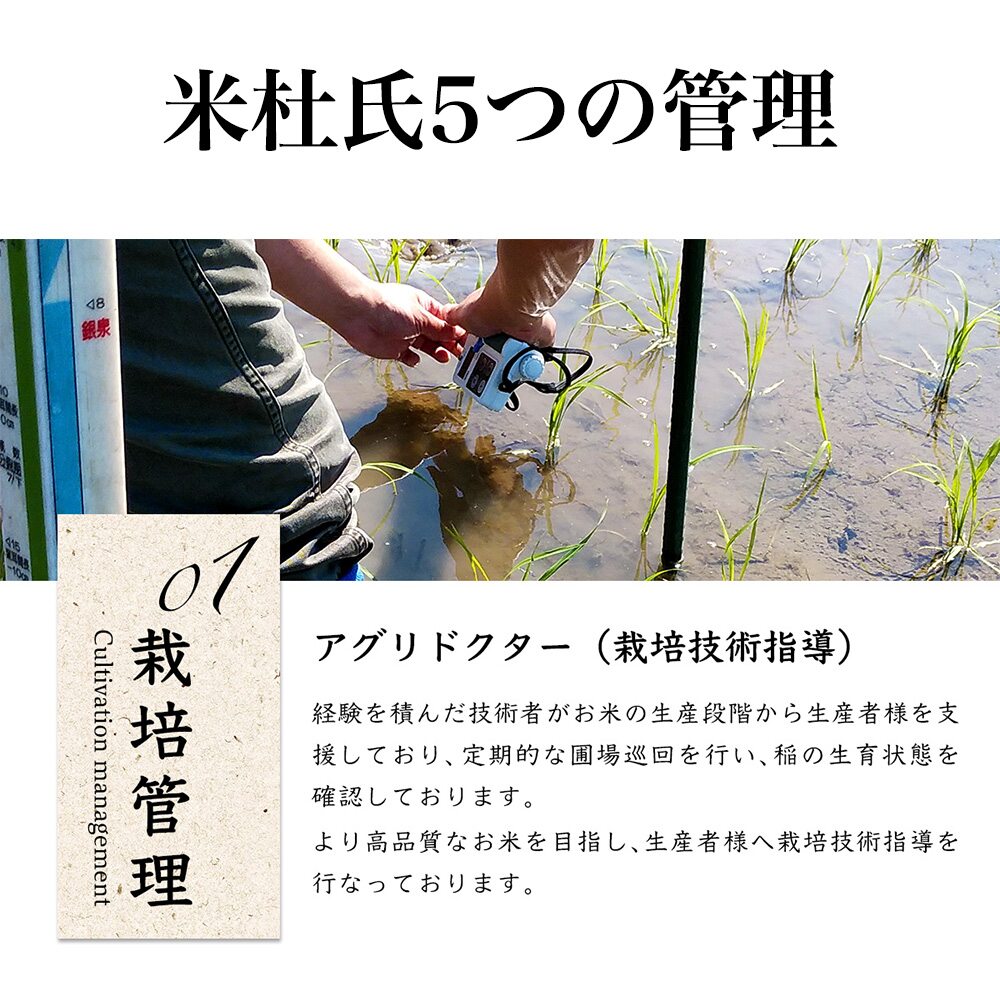 新潟米 米杜氏 2kg ○12袋まで1個口 岩船産こしひかり 新潟県 産地指定米 13周年記念イベントが 新潟県