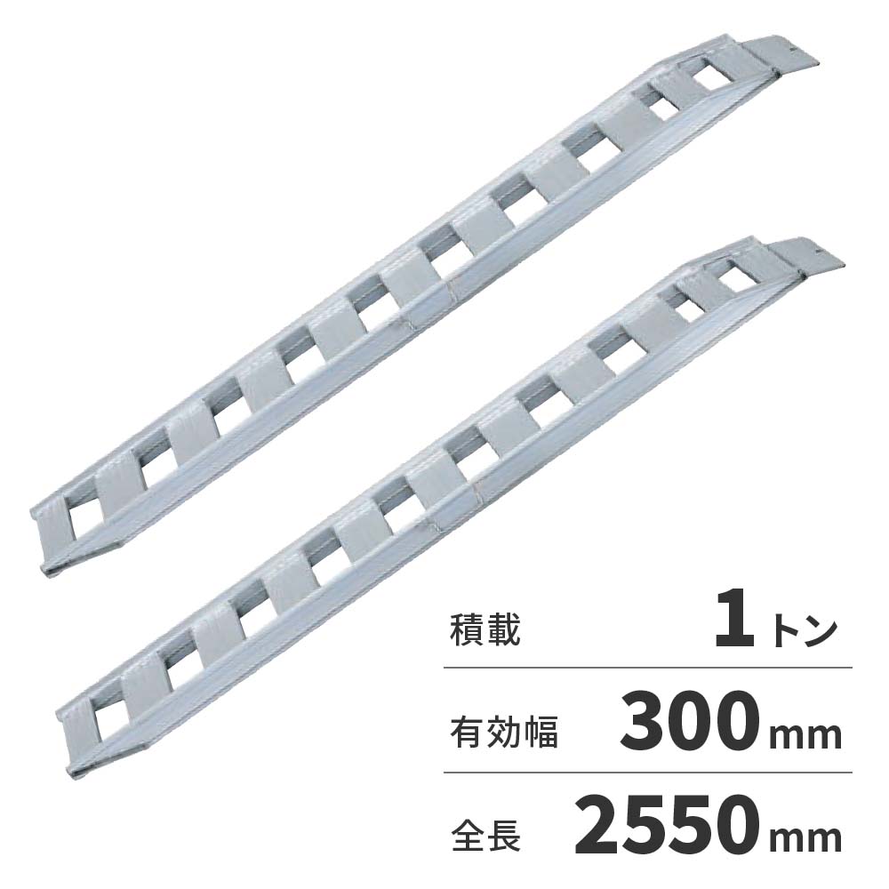 【法人限定】日軽金アクト NFブリッジ 2本1セット（ベロ式フックタイプ） NF10-C8-30 【メーカー直送・代引不可・置配不可・配送地域限定】