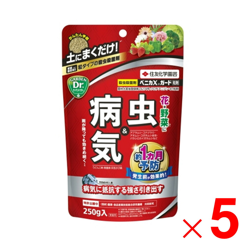 KINCHO園芸 ベニカXガード粒剤 250g ×5個 セット販売