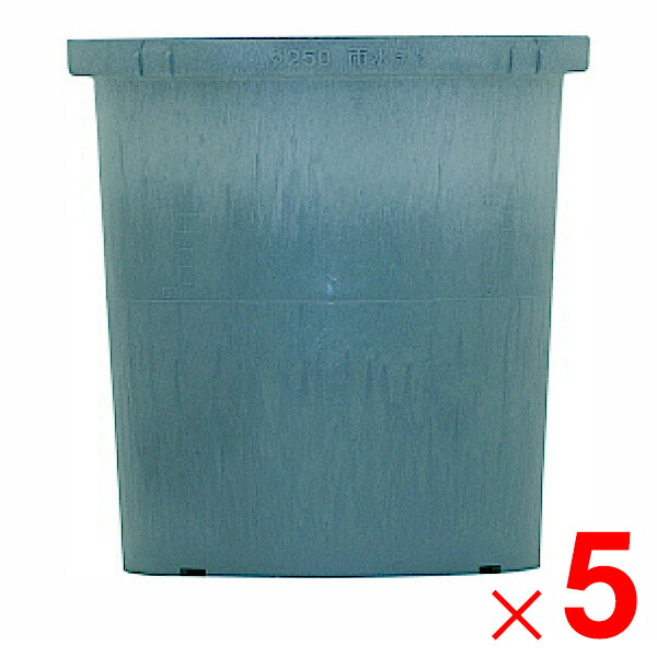 楽天市場】【12月は毎日開催！エントリーで最大100％ポイントバック