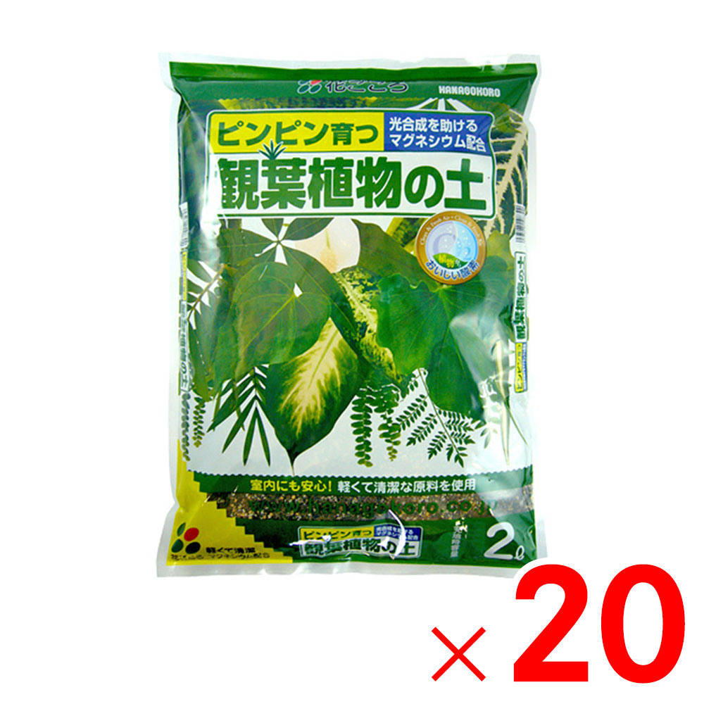 花ごころ 観葉植物の土 2L ×20個 セット販売