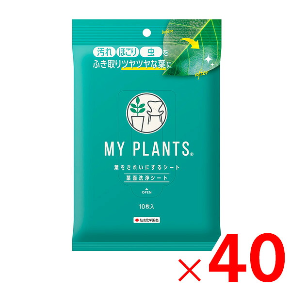 KINCHO園芸 MY PLANTS 葉をきれいにするシート 10枚入 &times;40個 ケース販売｜Arclands Online 支店