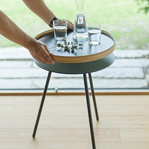 TEORI EN TRAY TABLE テオリ ローテーブル エントレイテーブル imgrc0084107398.jpg