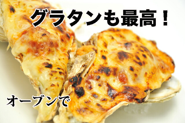 天然岩牡蠣(活)100~150g前後times;10個店長お勧め品朝採れ鳥取産(岩ガキ/岩がき)刺身用
