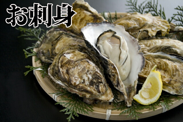 天然岩牡蠣(活)100~150g前後times;10個店長お勧め品朝採れ鳥取産(岩ガキ/岩がき)刺身用
