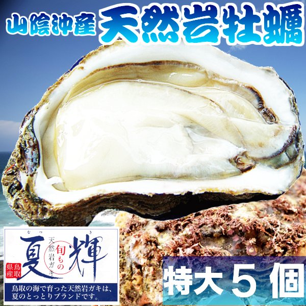 野生石ころ牡蠣 夏輝 生食代 牡蠣 活 特大350g 450前後 個一式 覆い割一致可 鳥取設定 昼まえ採れ 刺身用 送料無料 岩ガキ 岩がき 天然岩牡蠣 夏輝 個セット 送料無料 ブランド名引船付添い人岩牡蠣です Damienrice Com