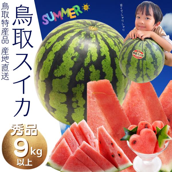 ご予約 鳥取すいか スイカ【ご贈答用】特大９ｋ以上！鳥取県北栄町産(旧大栄町）  送料無料