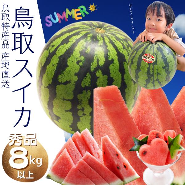 ご予約 鳥取すいか スイカ【ご贈答用】特大8ｋ以上！鳥取県北栄町産(旧大栄町）  送料無料