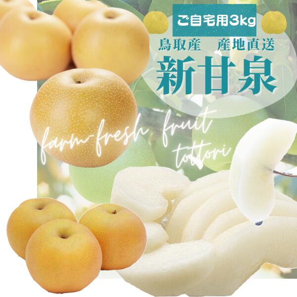 新甘泉梨 しんかんせん 鳥取産 梨 和梨（ご自宅用 訳あり）3kg（6－16玉前後）甘さ抜群 送料無料画像