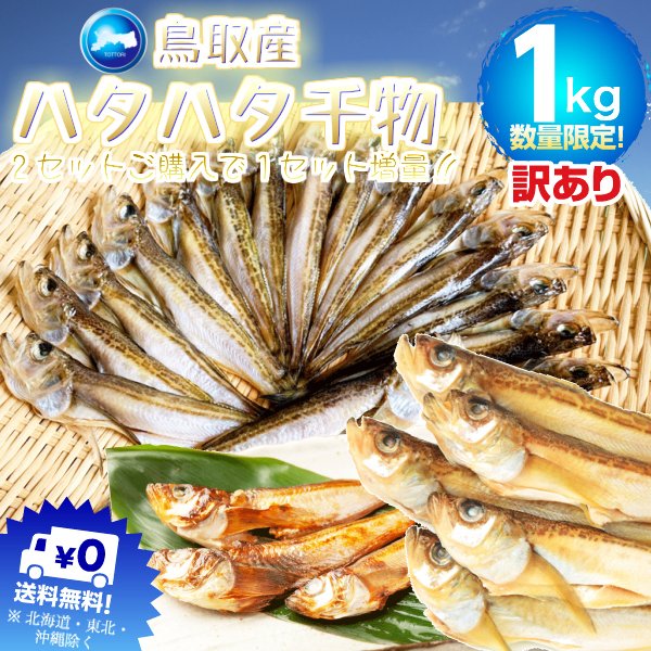 楽天市場 鳥取県産 干し ハタハタ 無頭 1kg前後 55尾 100尾 干物 一夜干し 冷凍 はたはた 鰰 浜下水産 産地直送 日本海産 山陰産 他のメーカー商品との同梱不可 日付指定不可 鳥取人のごっつおう市場