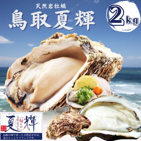天然岩牡蠣 (活)夏輝牡蠣 2kgセット(4-9個前後) ブランド 夏輝牡蠣 鳥取産 カキ 刺身用 送料無料(岩ガキ/岩がき)