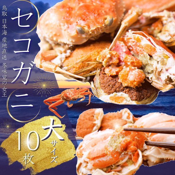 14895円 【期間限定送料無料】 セコガニ せこがに 山陰沖産 親がに 大サイズ１０枚セット 140-170gｇ前後 セイコガニ 香箱かに 蟹  送料無料