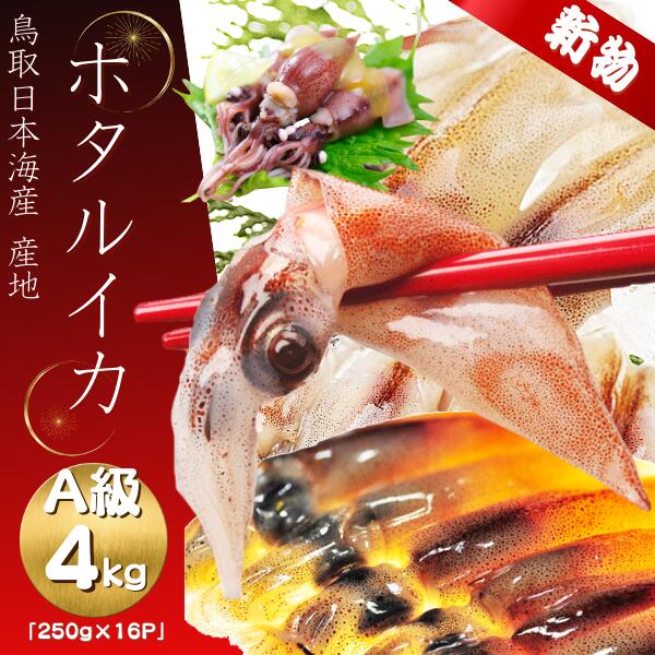 「ご予約」ほたるいか　［2025］新物　刺身用【マイナス60℃で冷凍】（最高級品) A級品 たっぷり４キロ 250g×１６パック ホタルイカ