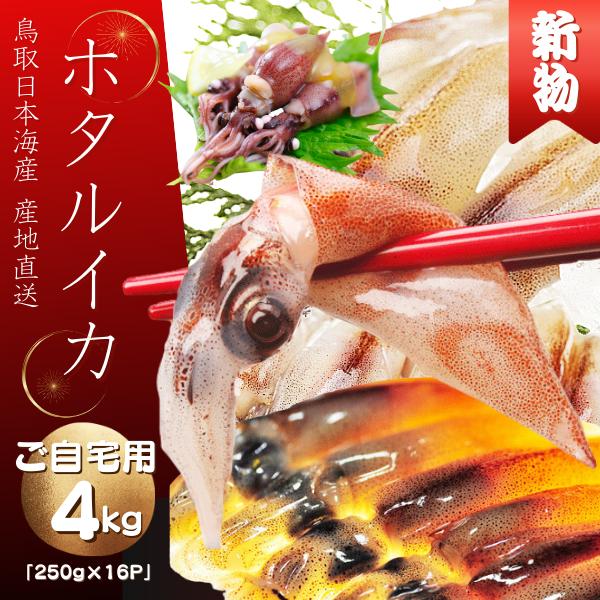 「ご予約」ご自宅用 ほたるいか 2025年度 新物　刺身用不揃い【マイナス60℃で冷凍】(B級品）たっぷり4キロ 250g×16パック