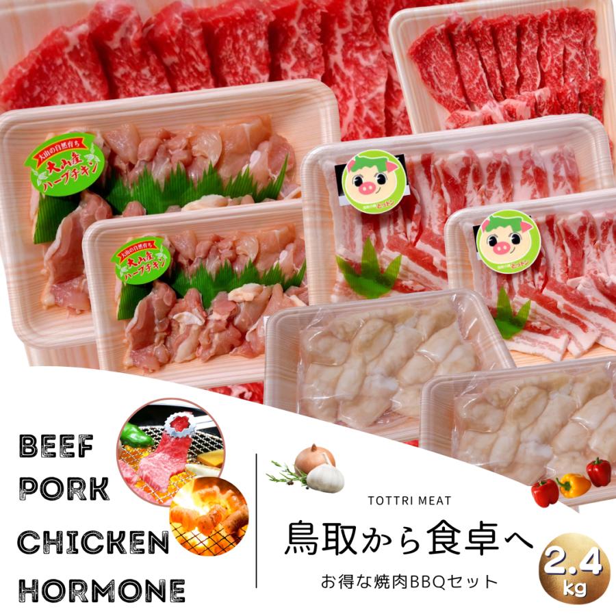 鳥取県産　焼き肉セット（ホルモン入り）２,４キロ（６～１０人前）牛肉　豚肉　鶏肉　ホルモン　バーベキューセット　BBQ