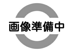 三菱  HRF700X・W   螢光マーキュリー照明ランプ  リフレクタ形