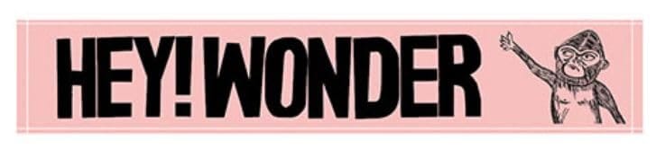 ザ・クロマニヨンズ HEY! WONDER レコード キーホルダー付き ザ・クロマニヨンズ HEY! WONDER レコード キーホルダー付き ザ