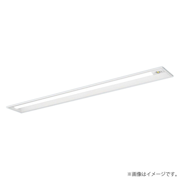 パナソニック NNLG42815C LED非常灯 非常用照明器具 器具本体