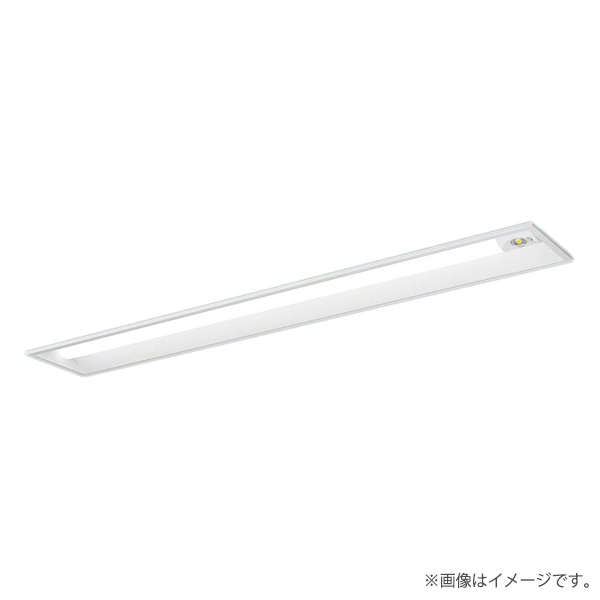パナソニック NNLG42819C LED非常灯 非常用照明器具 器具本体