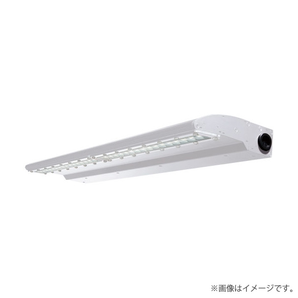 LED投光器 EBL20106ADNSAN9（EBL20106AD/NSAN9）岩崎電気