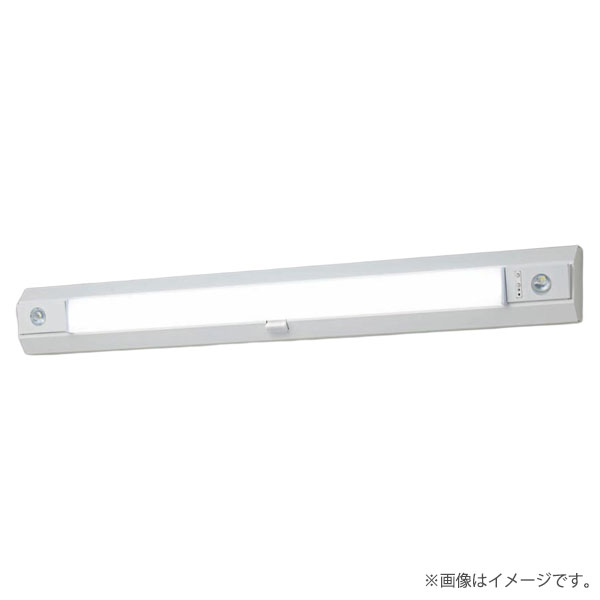 LED人並み外れた灯 NNCF42255JLE9（NNCF42255J LE9）非常用ともし火物の具 パナソニック