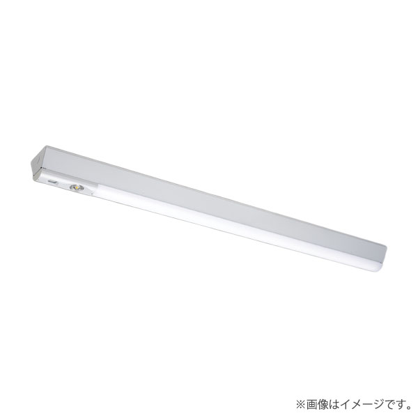 LEKTS412404NLLS9（LEETS-41202L-LS9+LEEM-40403N-01）LEKTS412404NL-LS9 LED非常灯 非常用照明器具 セット 東芝ライテック