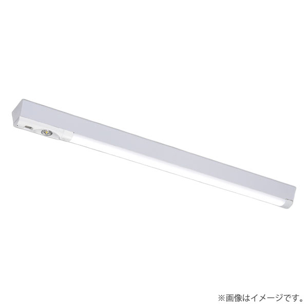 LEKTSW412255NLS9（LEETS-41205W+LESM-40255N-WP-LS9）LEKTSW412255N-LS9 LED人並み外れた灯 非常用点火装置物の具 書き割り 東芝ライテック