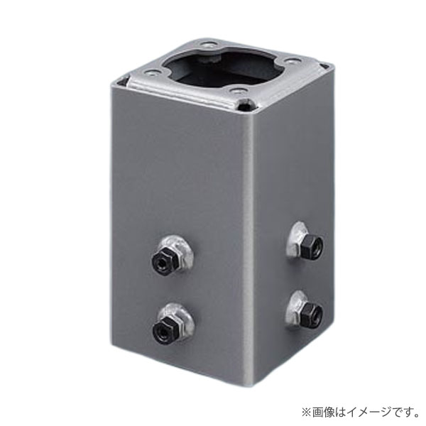 極点アダプター DYDX2009 パナソニック