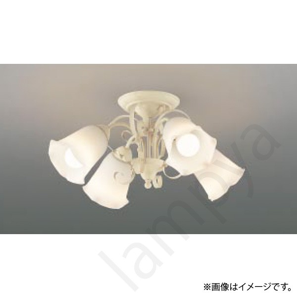 LEDもの言う花デ 後ろ側(イルム/ilum) AA39685L コイズミともし火