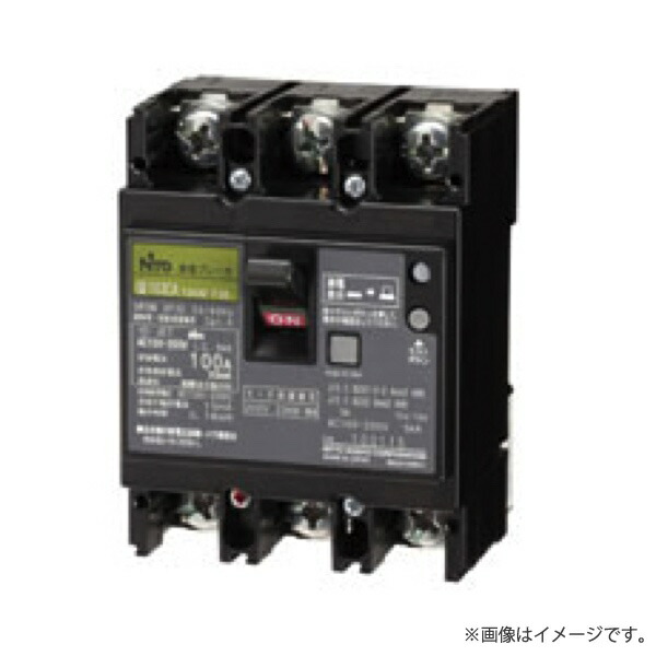 漏電ブレーカ GE52C 2P 50A F30（表面形）GE52C2P50AF30 日東工業〔代引不可〕